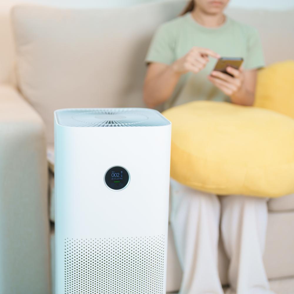 Benefits of Air Purification Systems