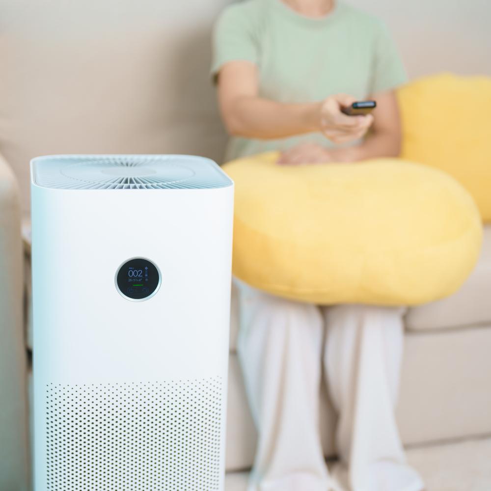 How Air Purifiers Work