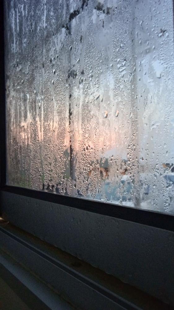 Health Benefits of Proper Humidification